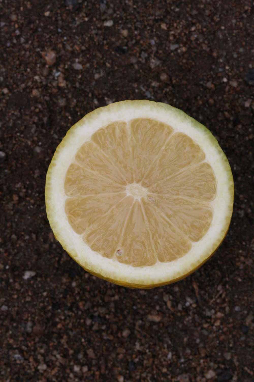            Fruit cross-section (Corona Foothill, Riverside, CA)   